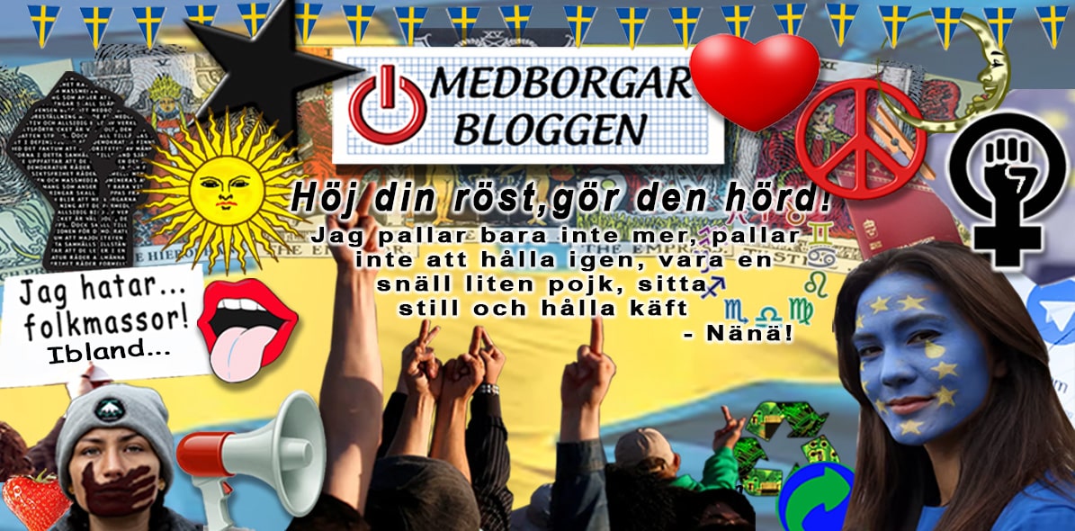 Varför Medborgarblogg? För jag kan, har tid och skrivklåda därtill. Jag vill jag göra min röst hörd, i att Statens makt inte ska ges företräde framför medborgarnas väl och ve.