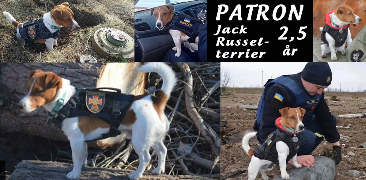 Ukraina – Patron