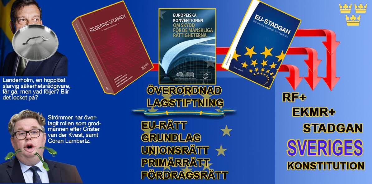 Medborgare – Sveriges Konstitution