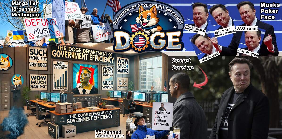 Medborgare – Vaddå? DOGE II