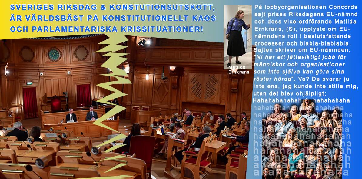 Medborgare – Konstitutionsutskottet